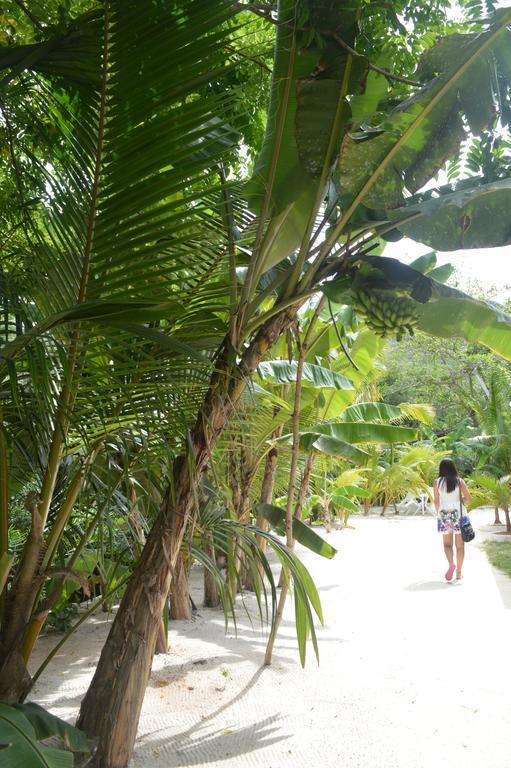 Villa Veuve Casadani Hotel La Digue Exteriör bild