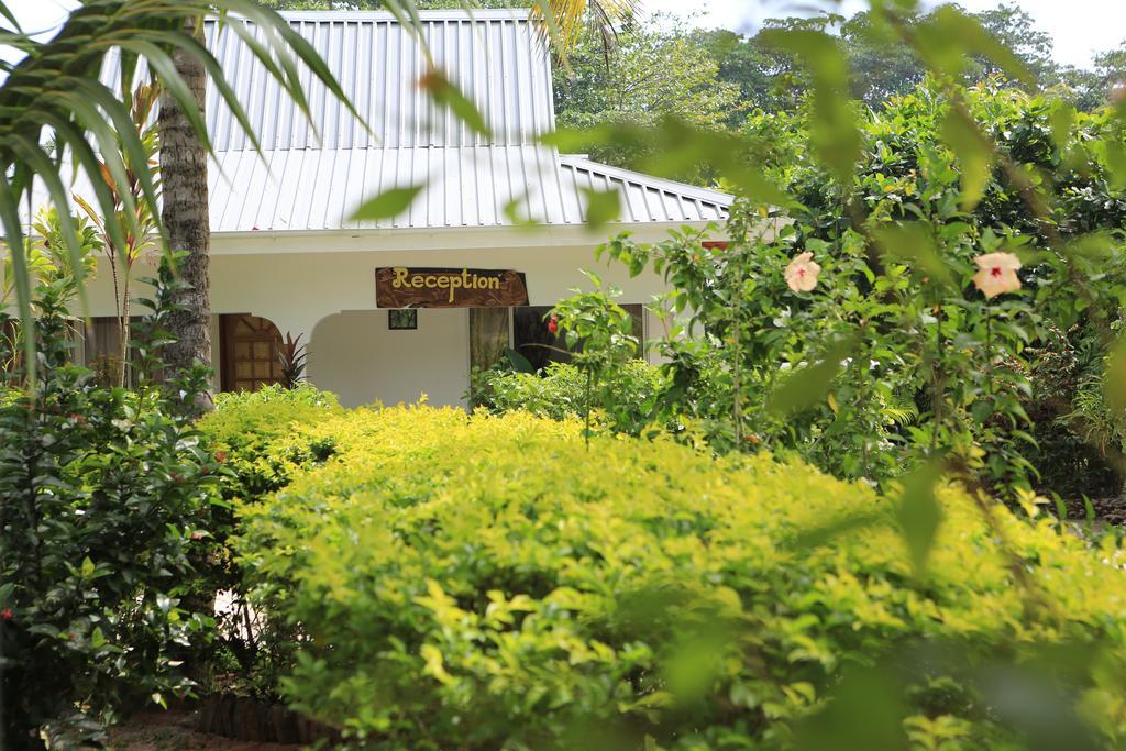 Villa Veuve Casadani Hotel La Digue Exteriör bild