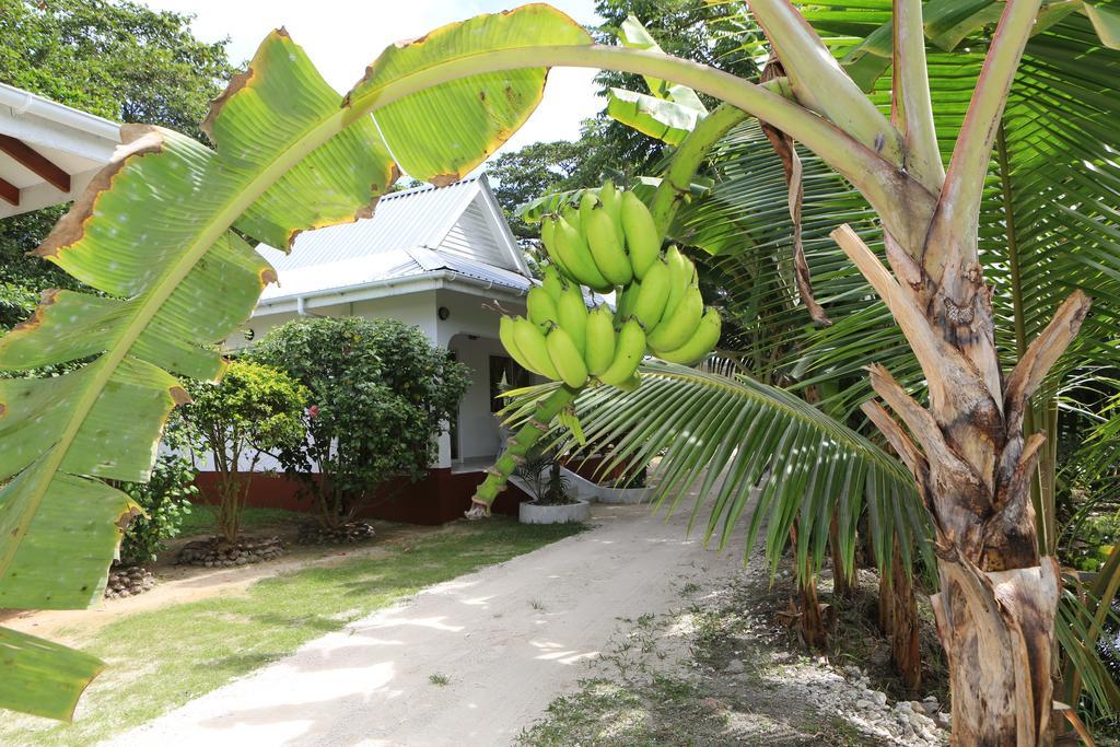 Villa Veuve Casadani Hotel La Digue Exteriör bild